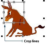Crop lines